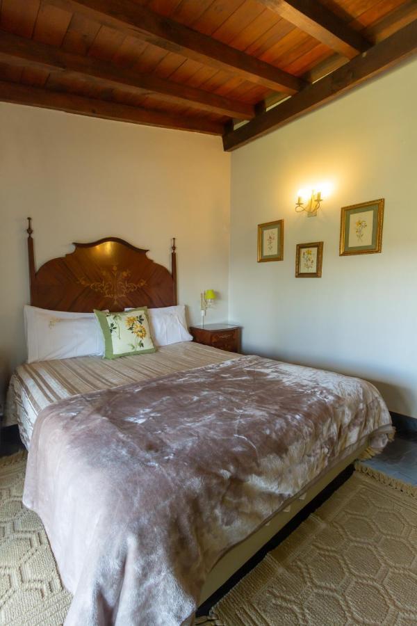 Quintal De Alem Do Ribeiro-Turismo Rural Lousa  Ngoại thất bức ảnh