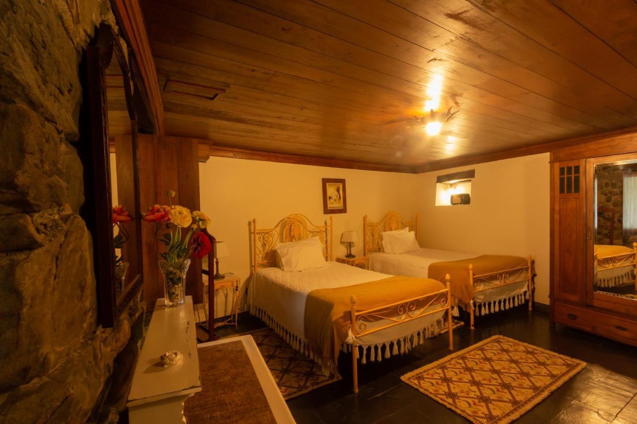 Quintal De Alem Do Ribeiro-Turismo Rural Lousa  Ngoại thất bức ảnh