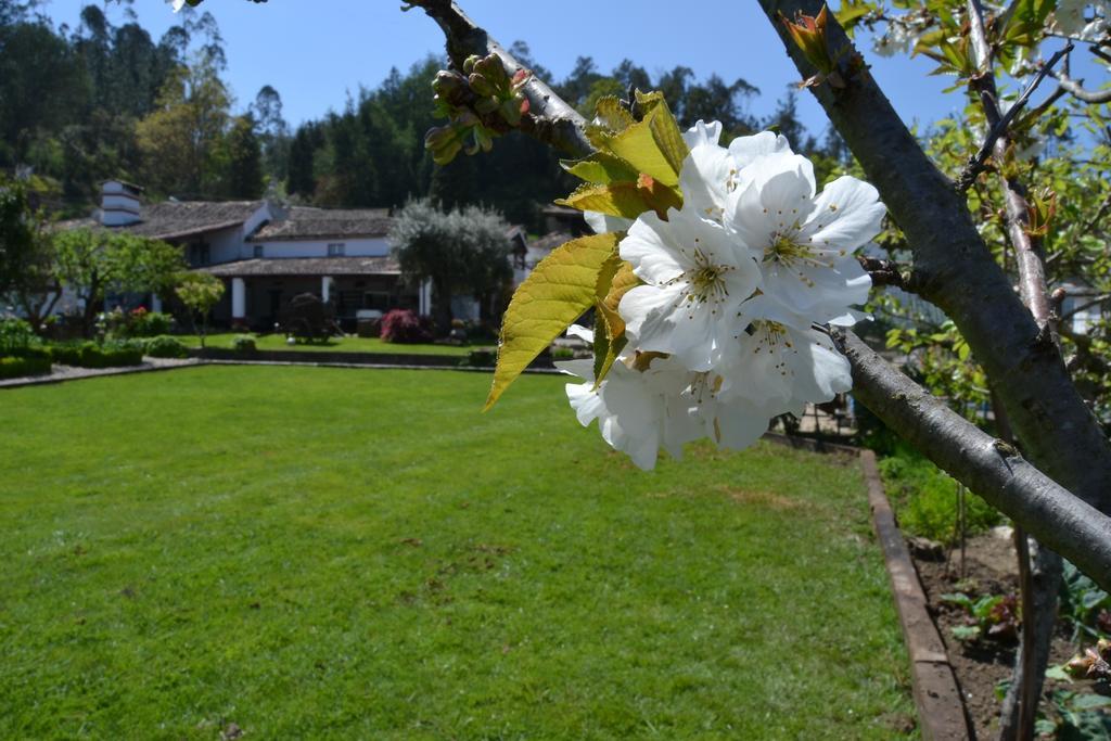Quintal De Alem Do Ribeiro-Turismo Rural Lousa  Ngoại thất bức ảnh