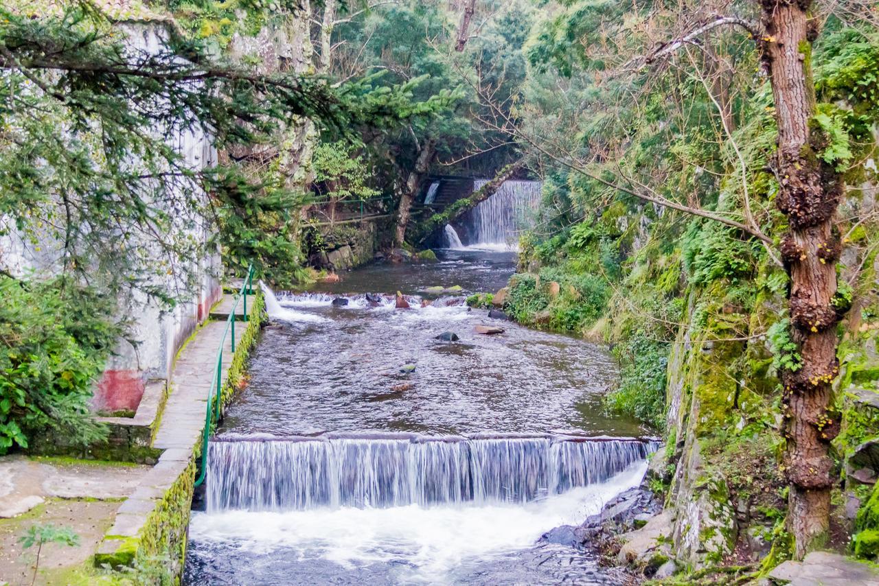 Quintal De Alem Do Ribeiro-Turismo Rural Lousa  Ngoại thất bức ảnh