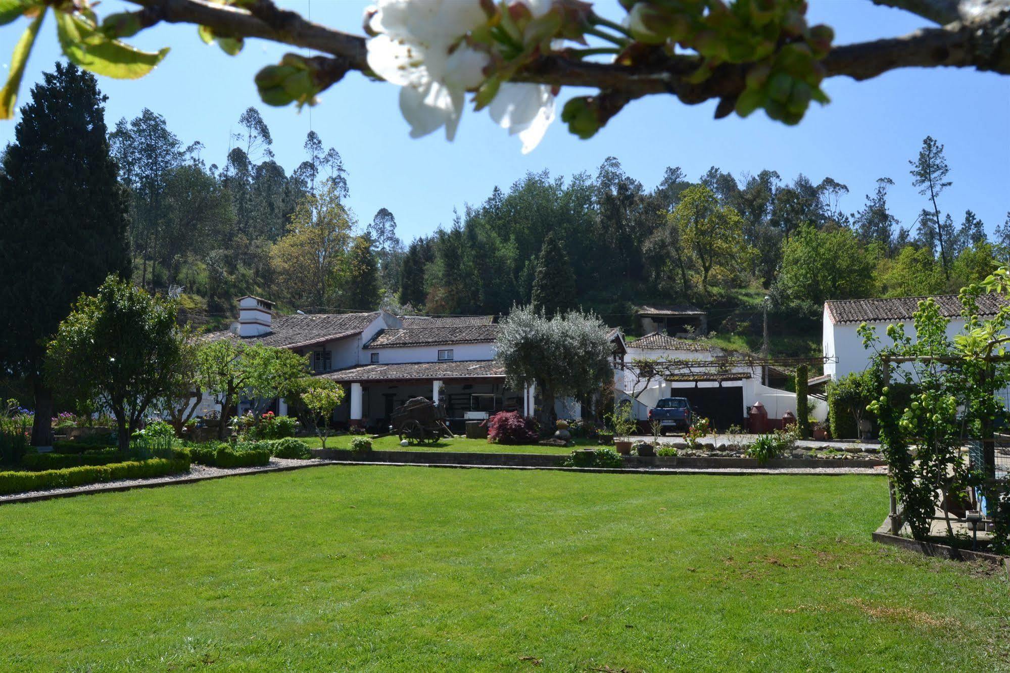 Quintal De Alem Do Ribeiro-Turismo Rural Lousa  Ngoại thất bức ảnh