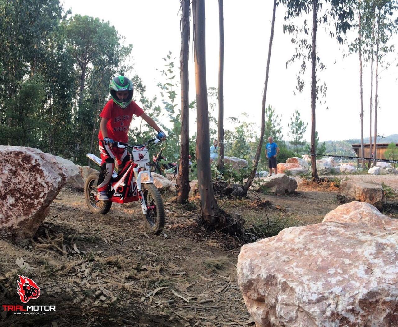 Quintal De Alem Do Ribeiro-Turismo Rural Lousa  Ngoại thất bức ảnh